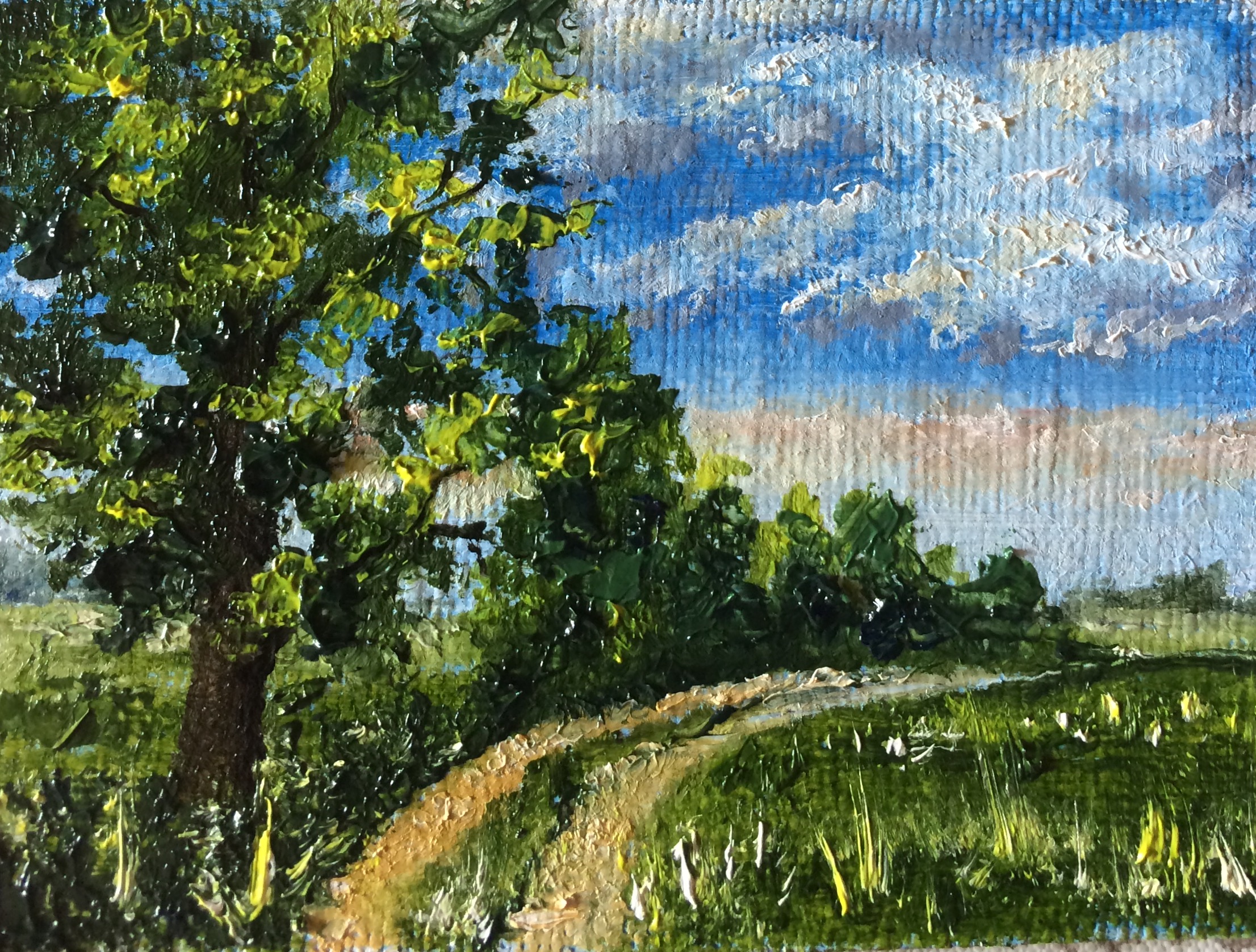 Minis-676