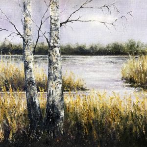 In i vassen - 861