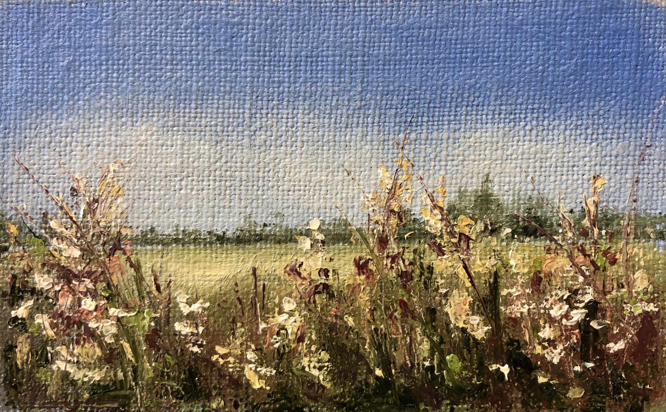 Minis - 732
