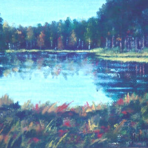 Liten sjö i skogen - 159