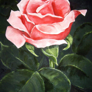 Rosa ros med blad - 501
