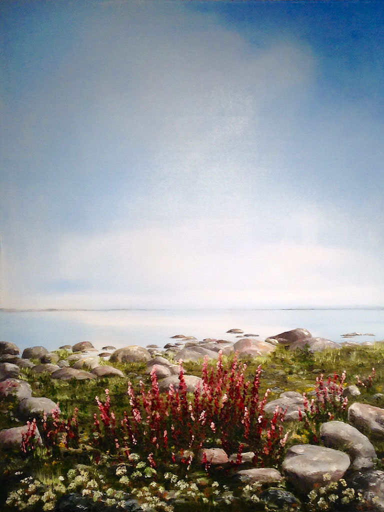 Stenig strand - 549