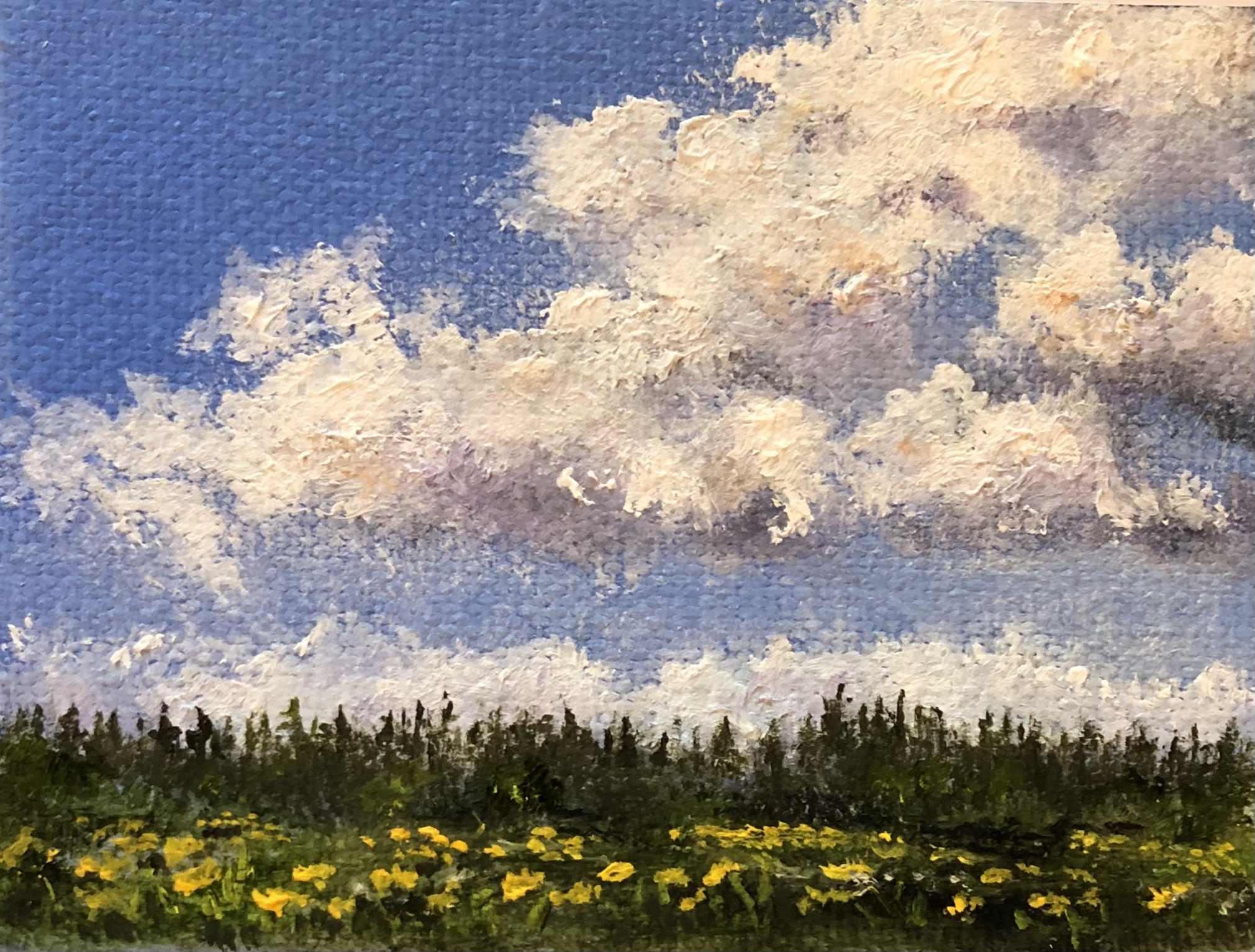 Minis-870