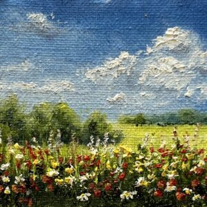 Minis-987