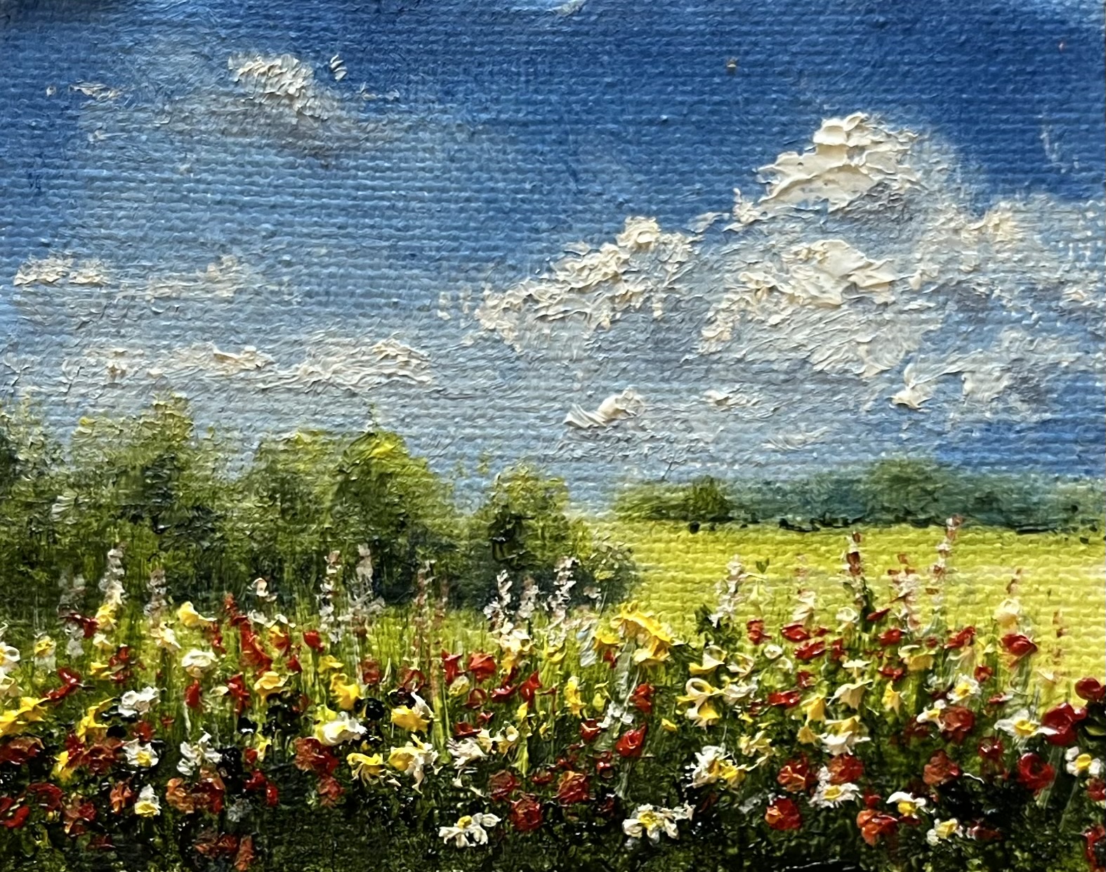 Minis-987