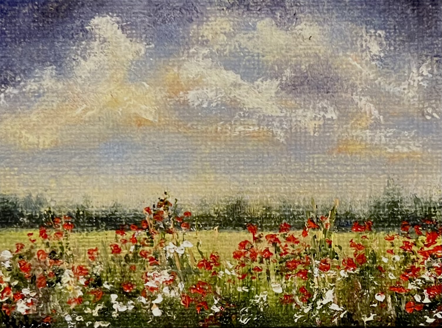 Minis-1014
