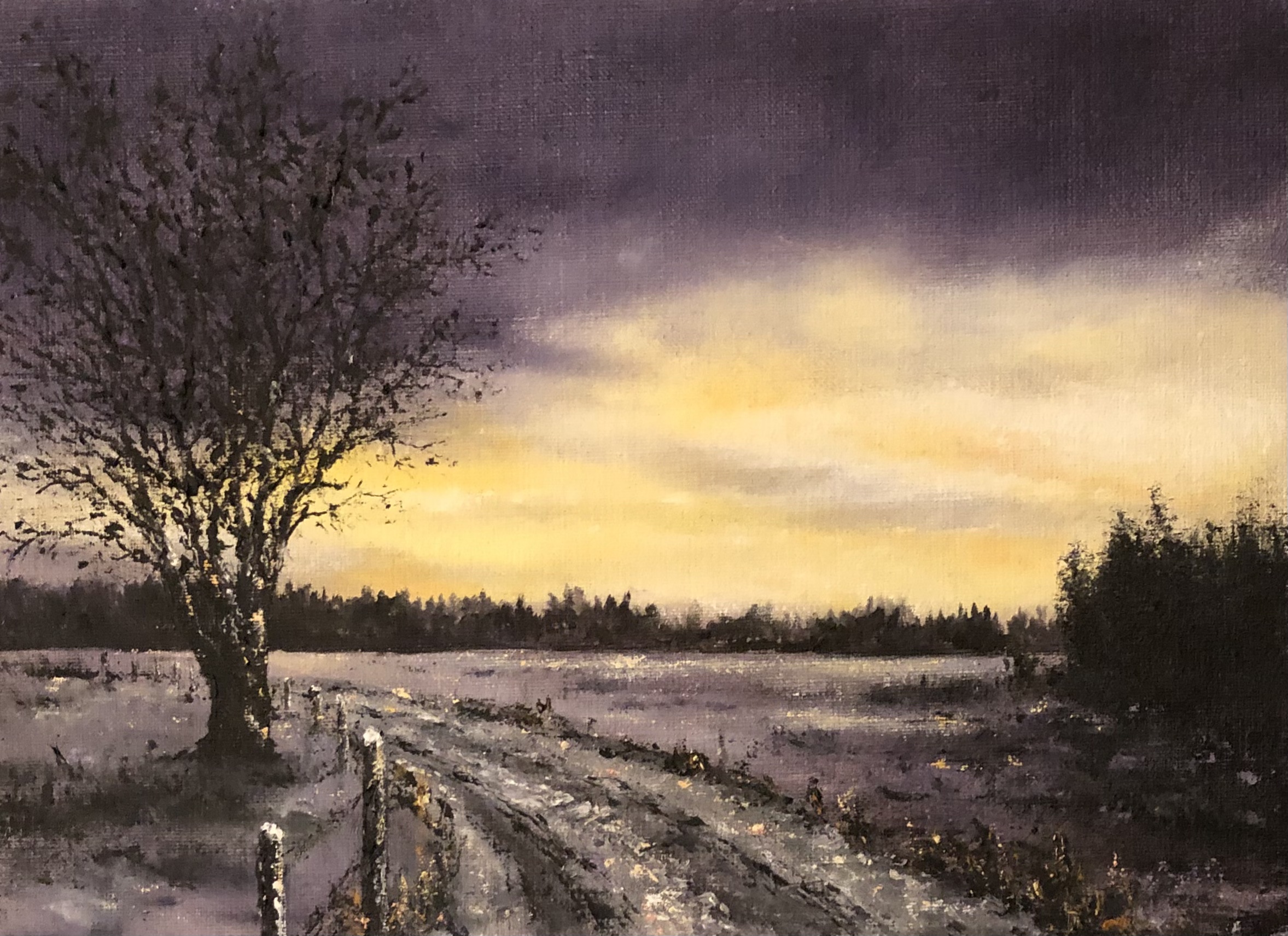 Morgonljuset-913