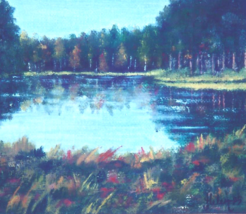 Liten sjö i skogen - 159