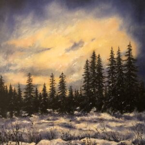 Snödjup-837