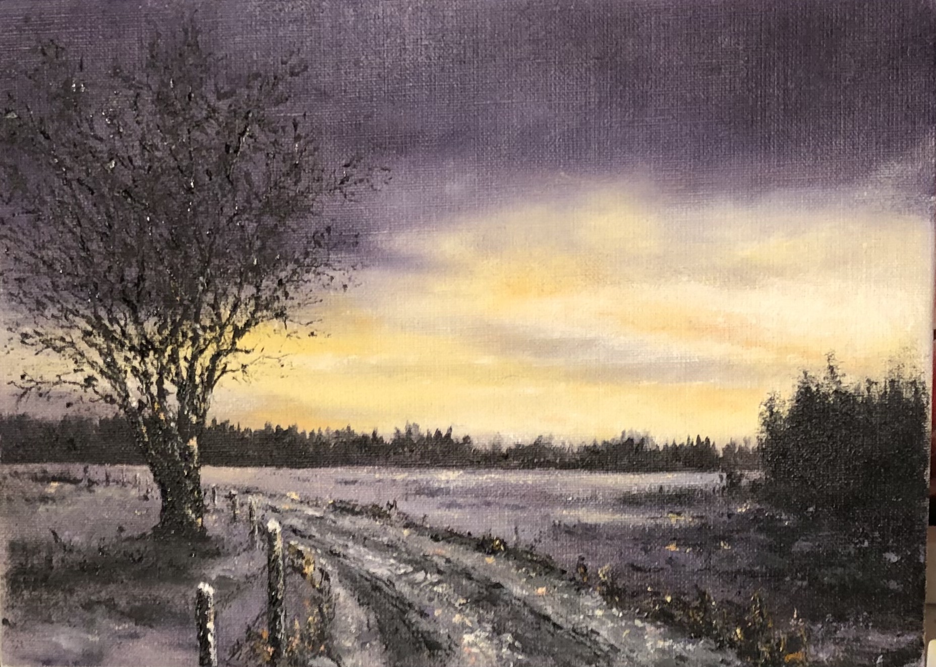 Morgonljuset-913